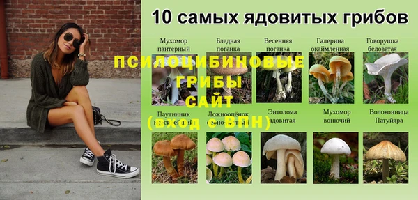 мяу мяу мука Балахна