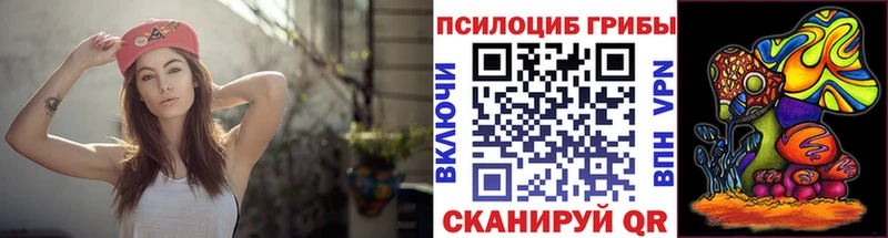 blacksprut рабочий сайт  Челябинск  Псилоцибиновые грибы MAGIC MUSHROOMS 